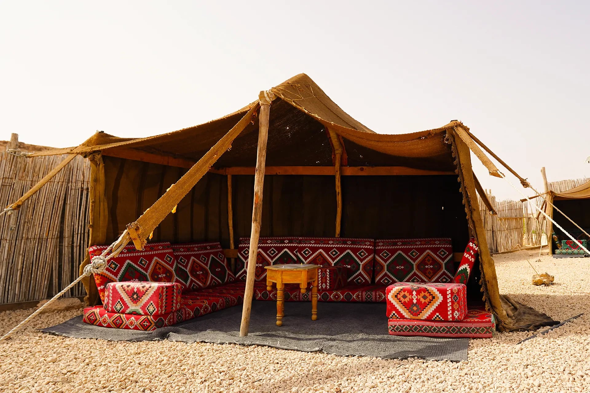 Balade à Dos de dromadaire - 5