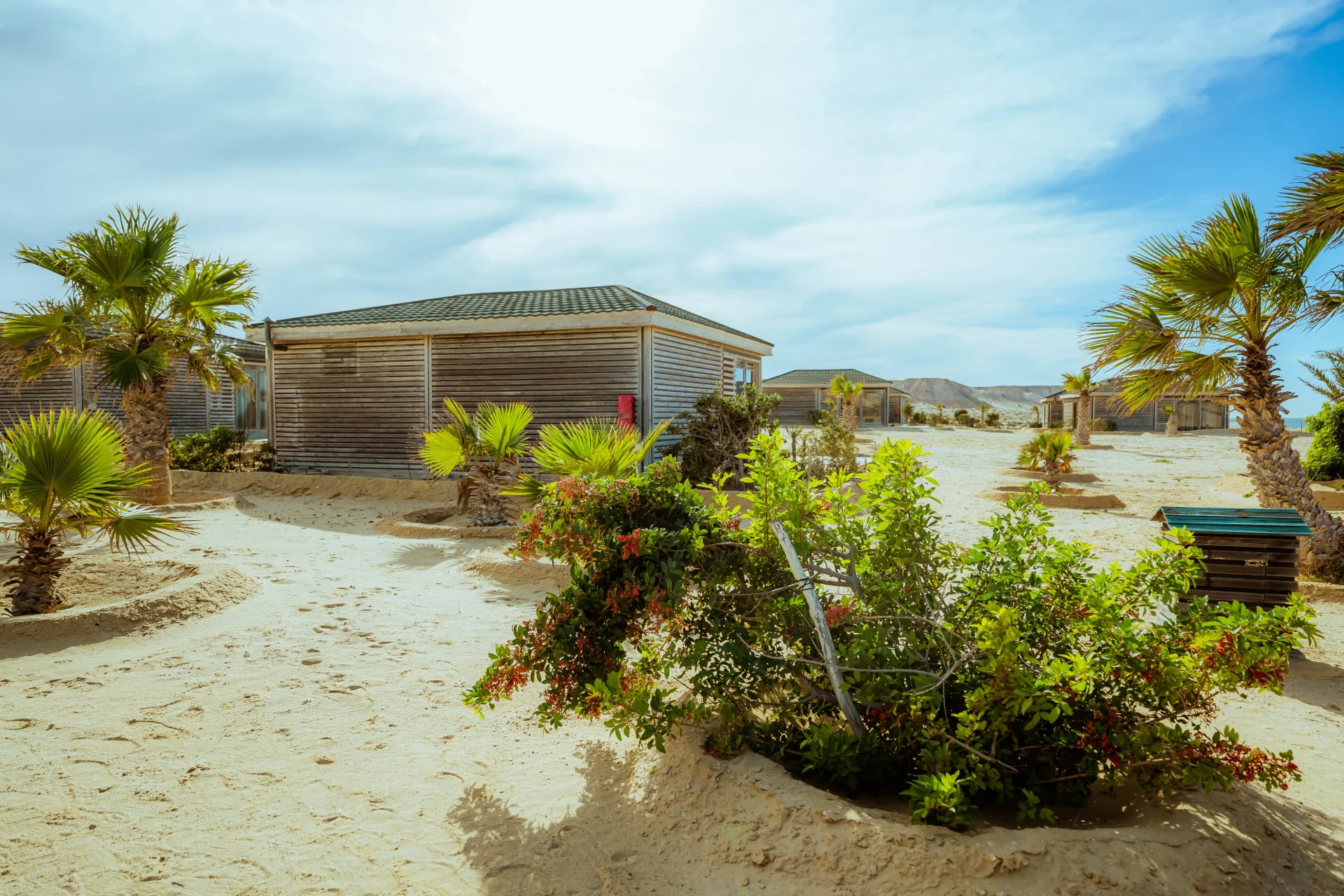 Le Chalet Partagé (Dortoir) - 1